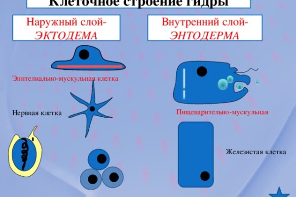 Kraken официальный сайт ссылка